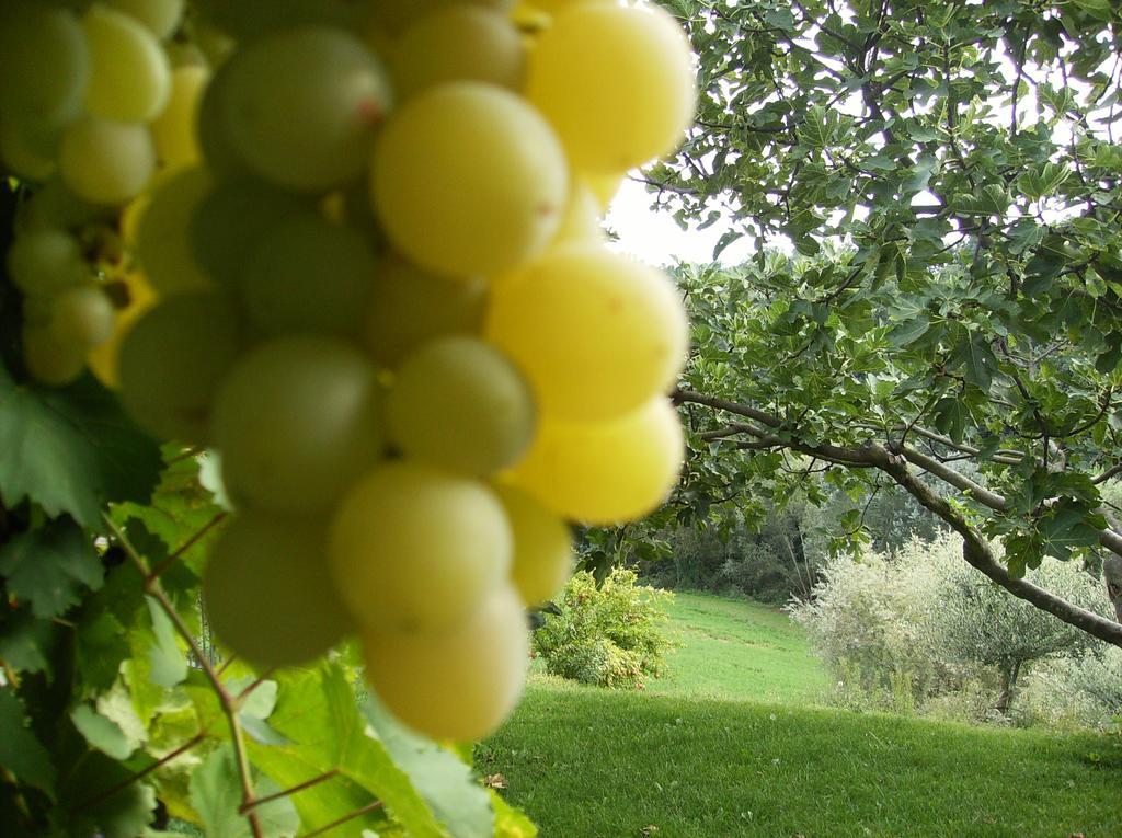 Agriturismo Casa Garello Villa Salice Terme Bagian luar foto