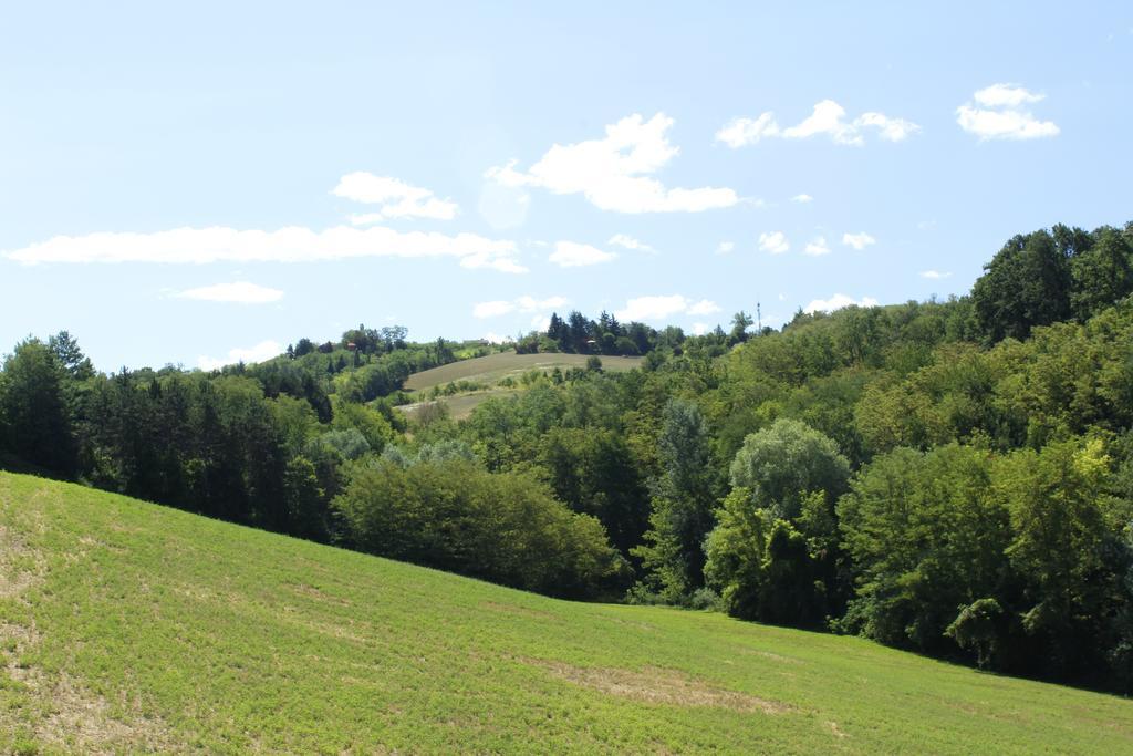 Agriturismo Casa Garello Salice Terme Bagian luar foto