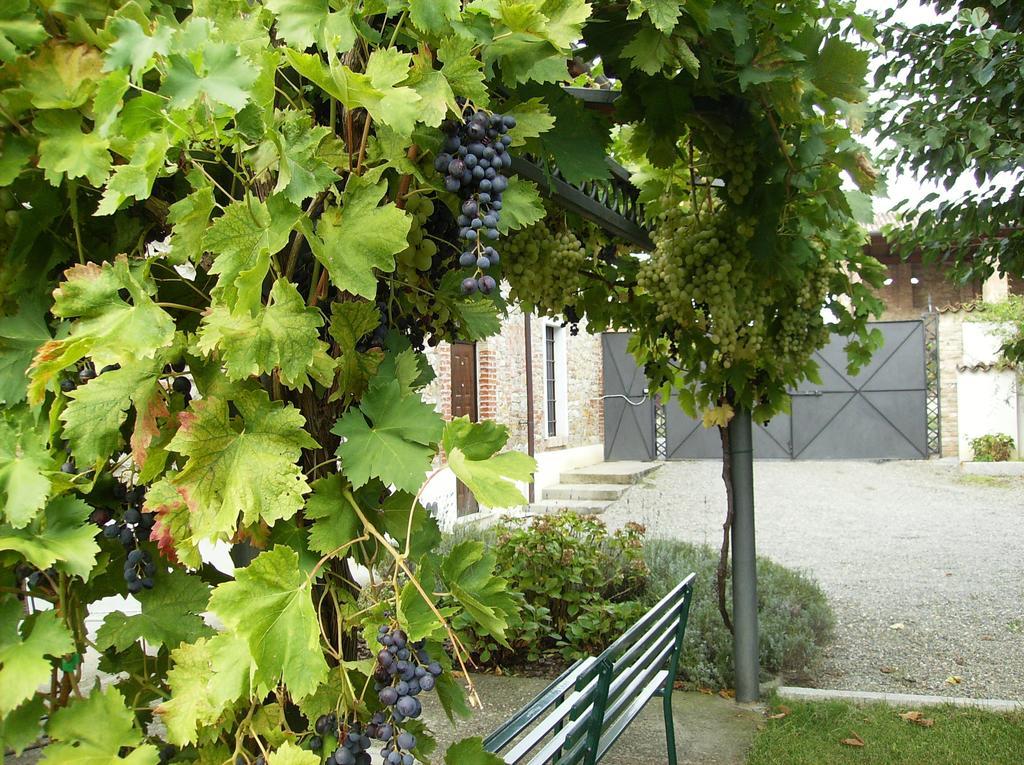 Agriturismo Casa Garello Salice Terme Bagian luar foto
